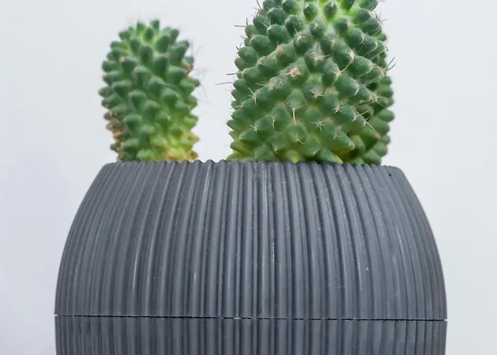 Daszynskiego 10 Apartment Gliwice